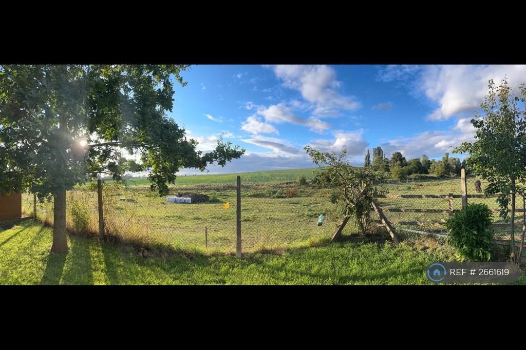 Garden Views