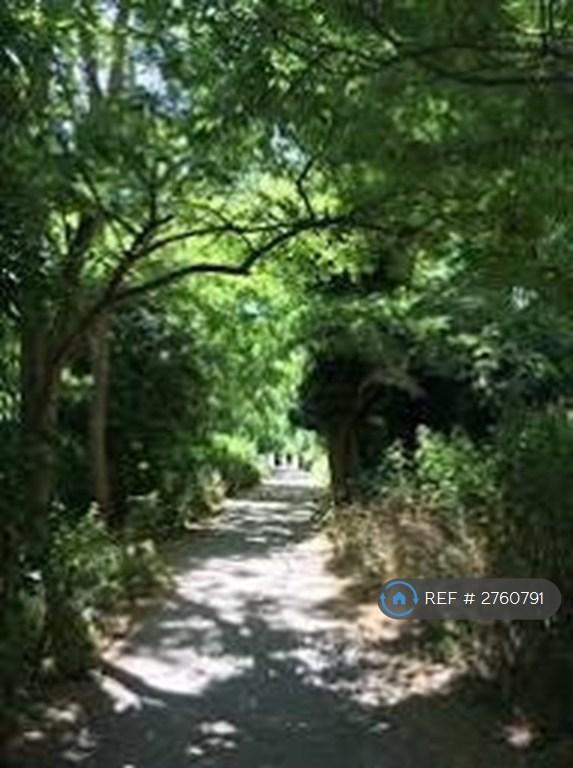 Local Walks