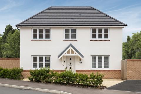 undefined, Lime at De Clare Gardens Ffordd Y Dderwen, Hendredenny CF83