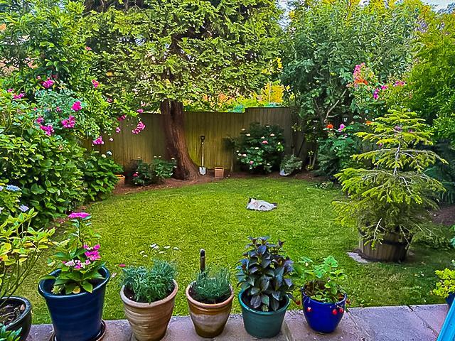 13 Garden-1.jpg