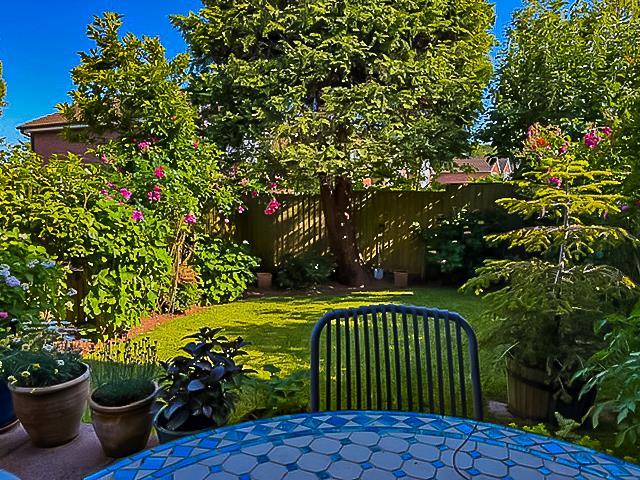 13 Garden-2.jpg