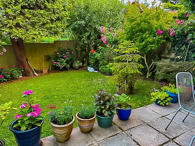 13 Garden-5.jpg