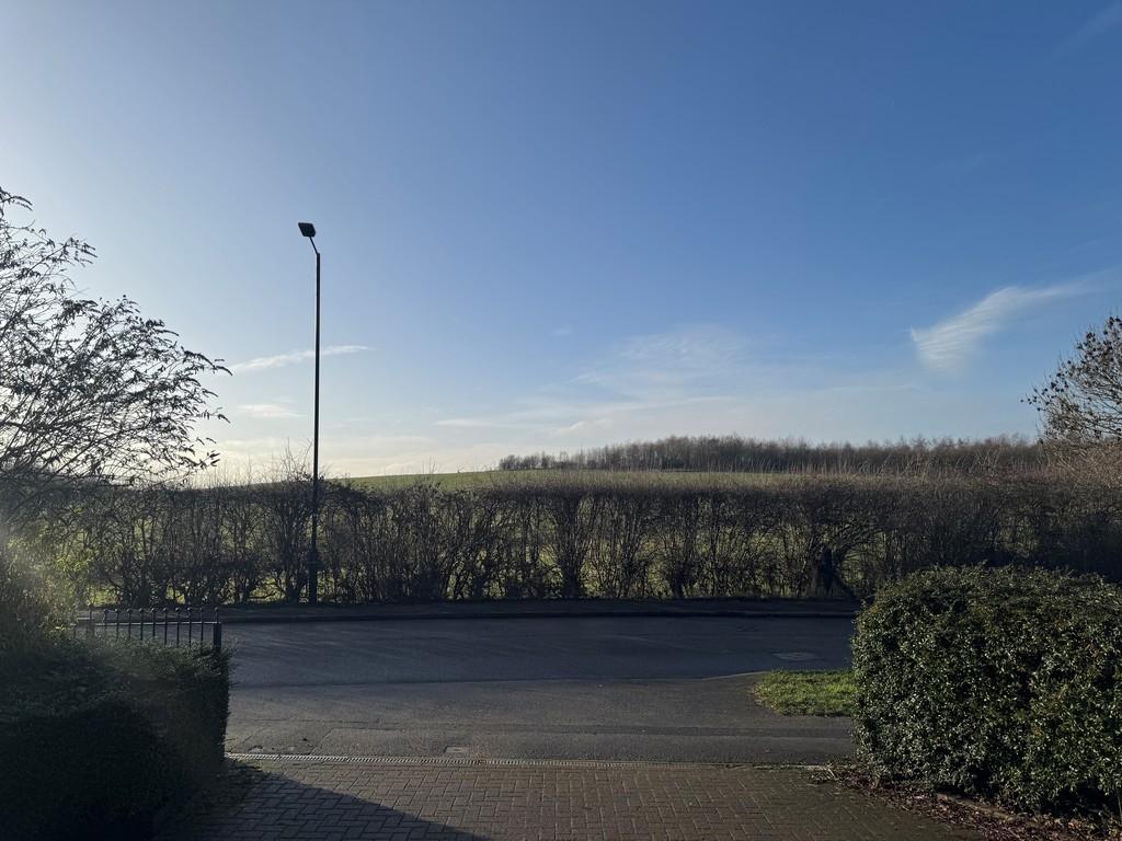 View elton
