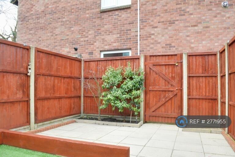 Back Garden