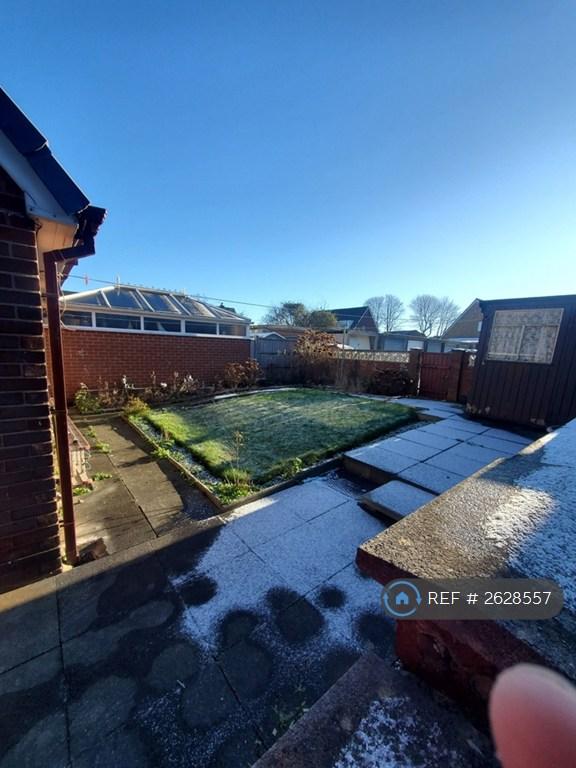 Back Garden