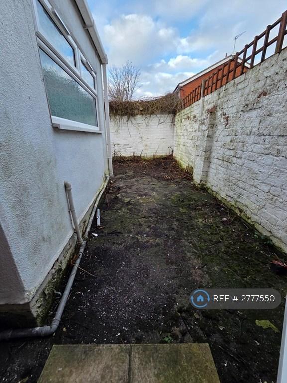 Rear Yard