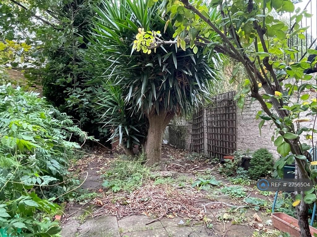 Communal Garden