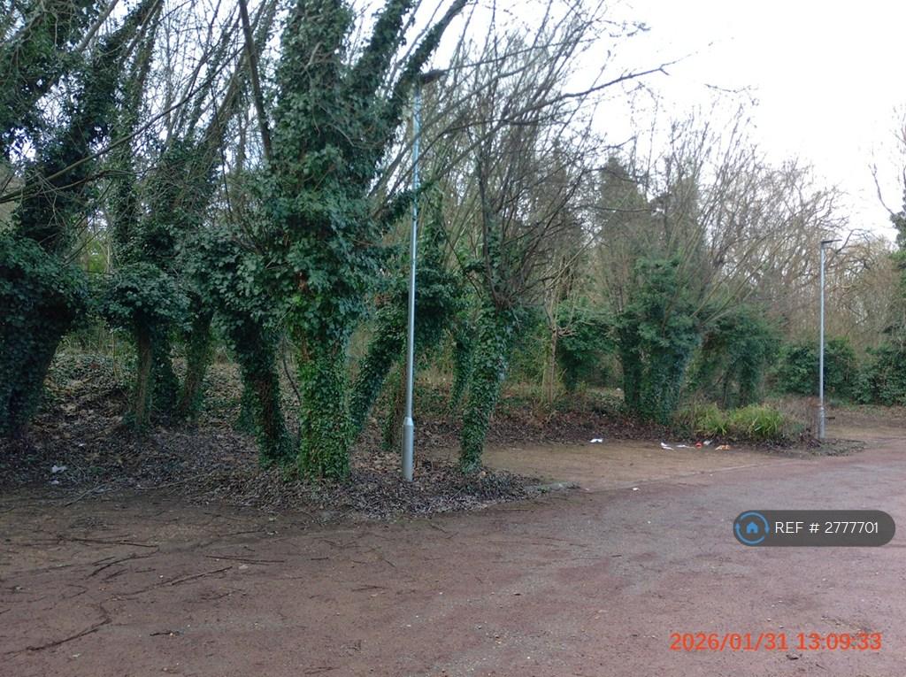 Car Parking