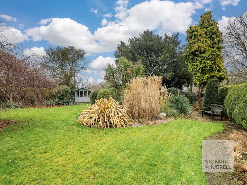 Mature Planting