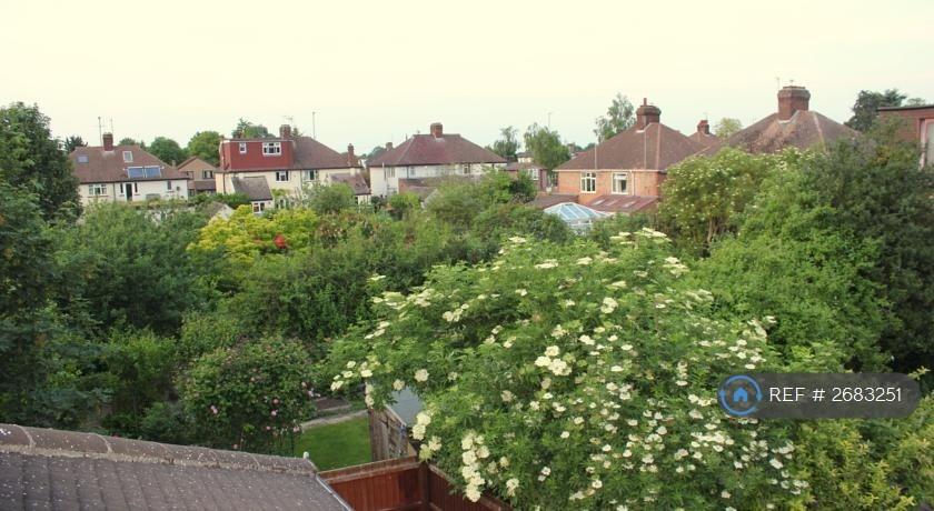 View From Window