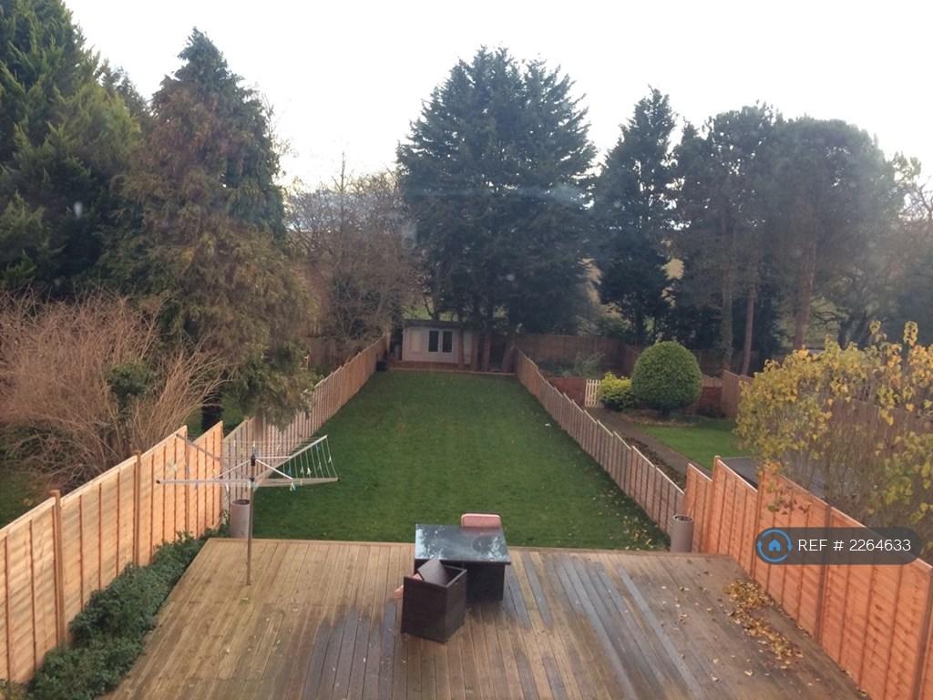 Huge Garden