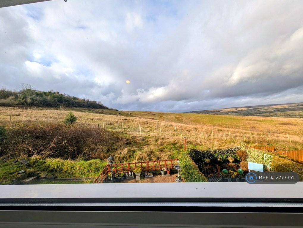 Kitchen Views