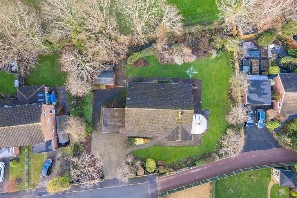 DJI 0685.jpg