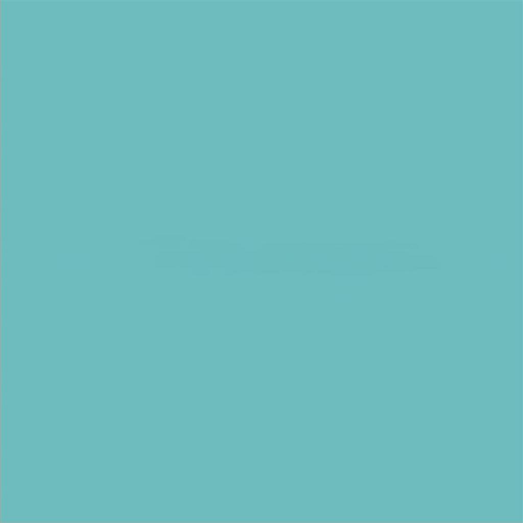 Blank.jpg