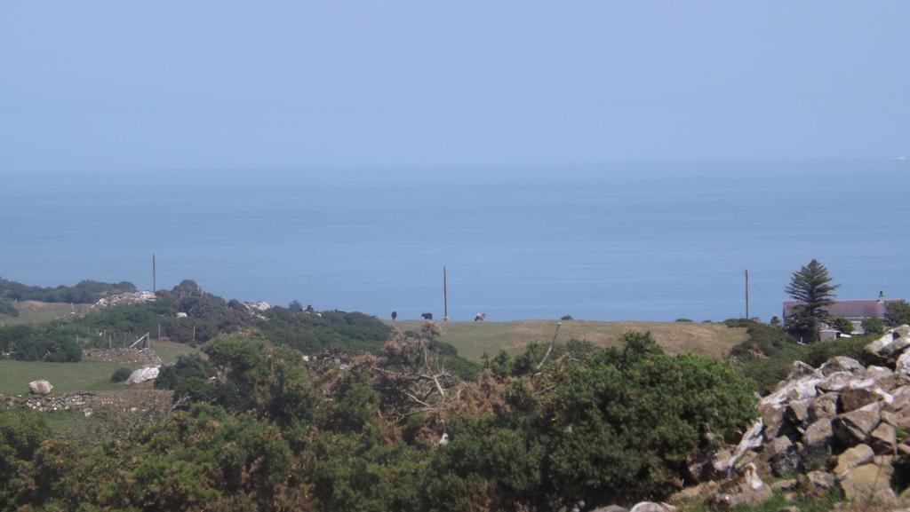 Dscf2401.jpg