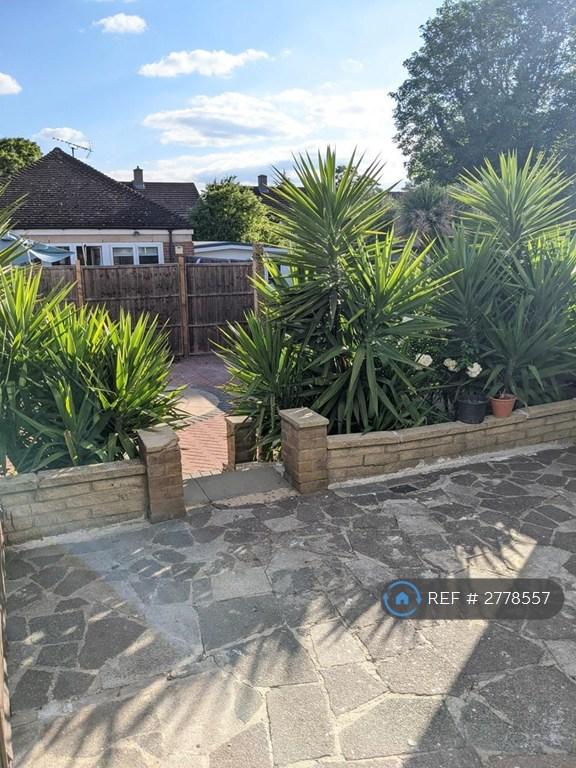 Back Garden