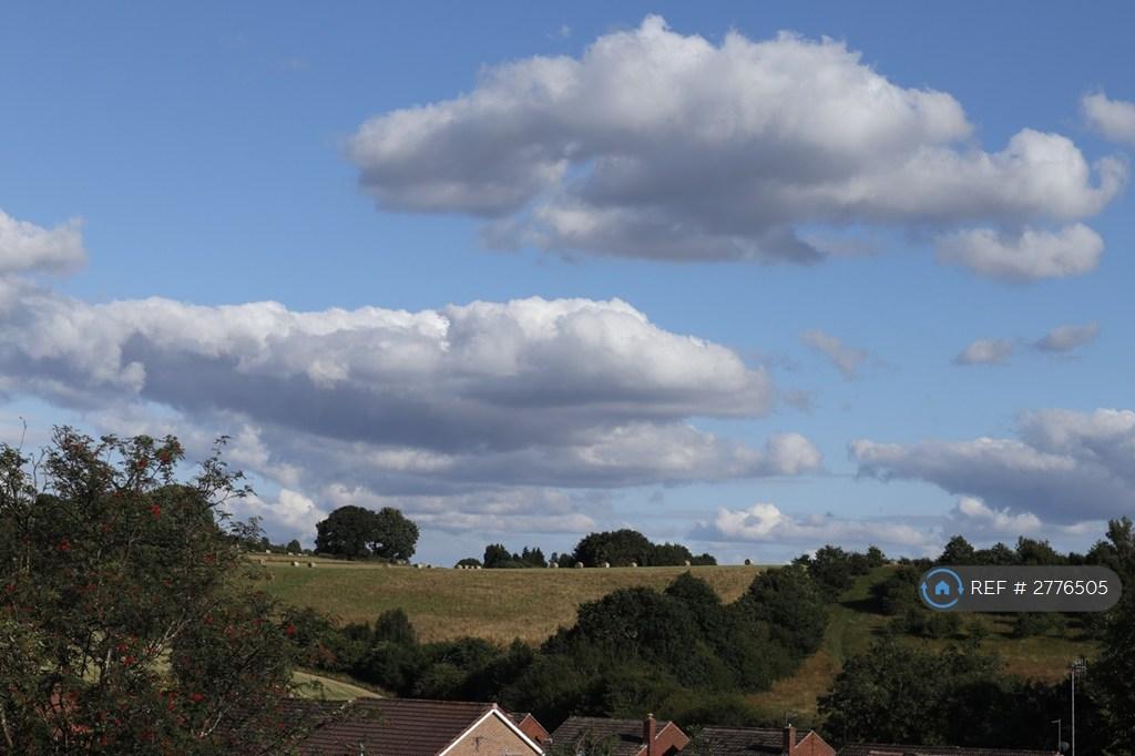 View From Rear Bedroom