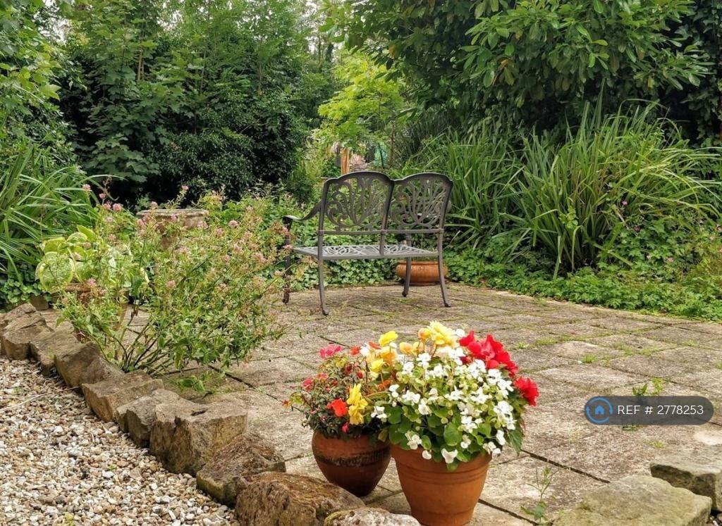 Back Garden