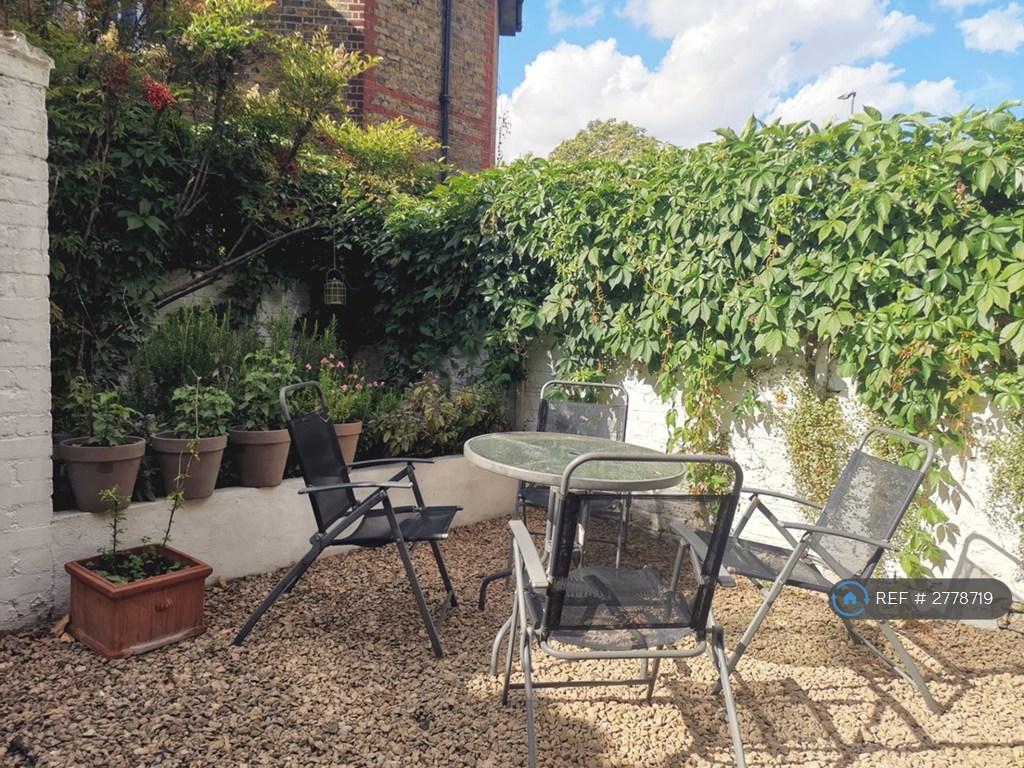 Back Garden