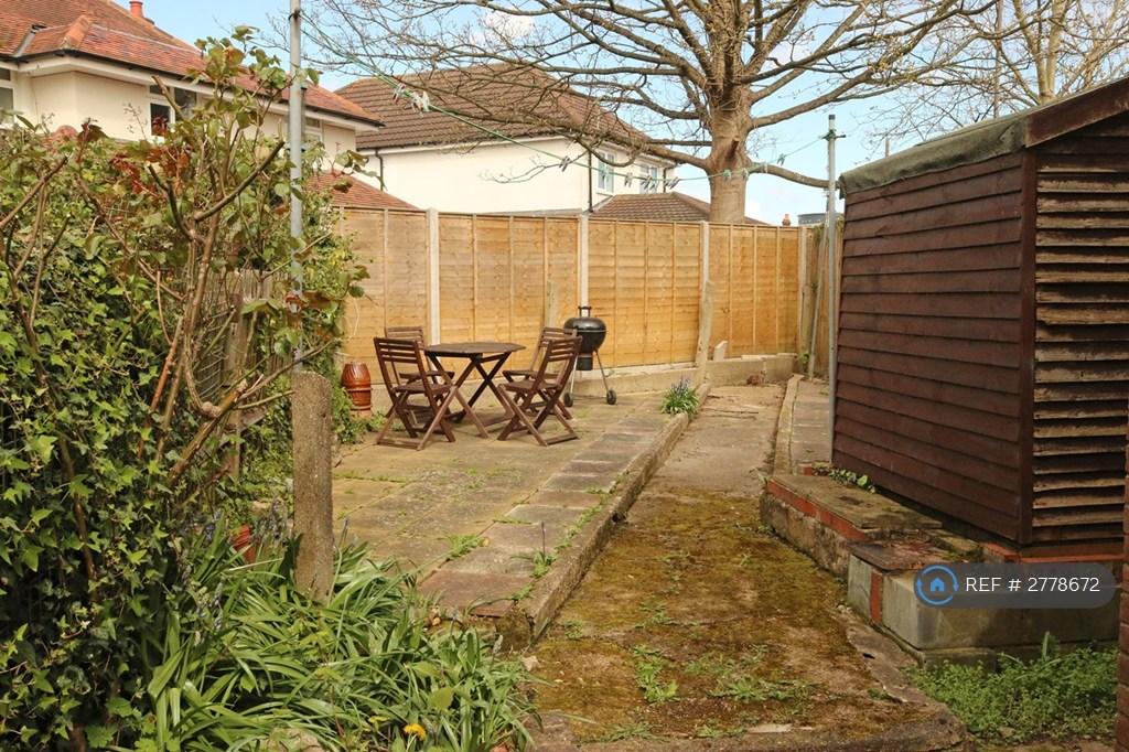 Back Garden