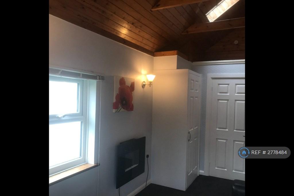 Studio Kitchen/ Living Room
