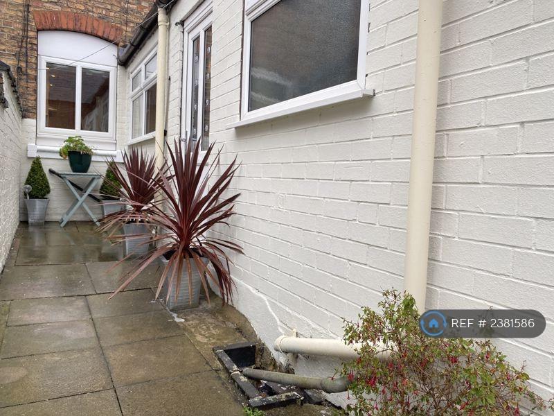 Rear Yard
