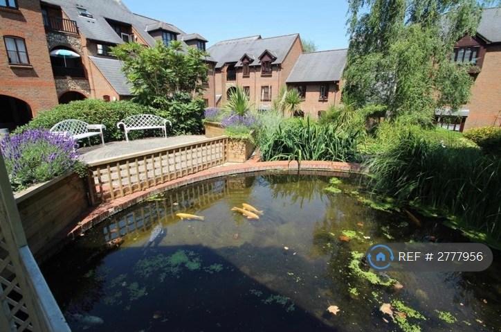 Pond