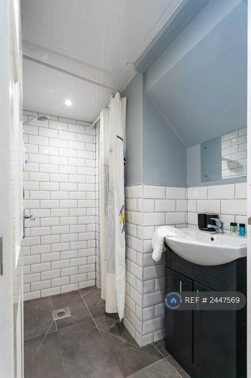 Downstairs Shower/Bathroom