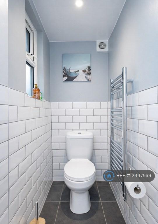 Downstairs Shower/Bathroom