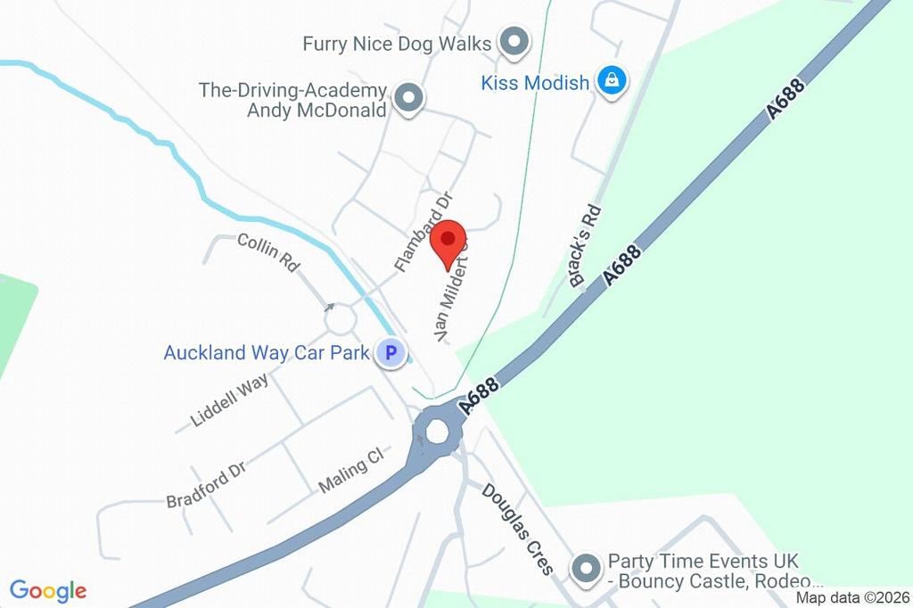 Google Maps Image
