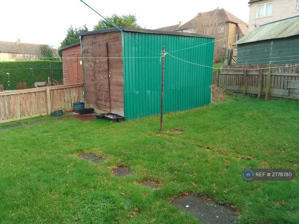 Back Garden