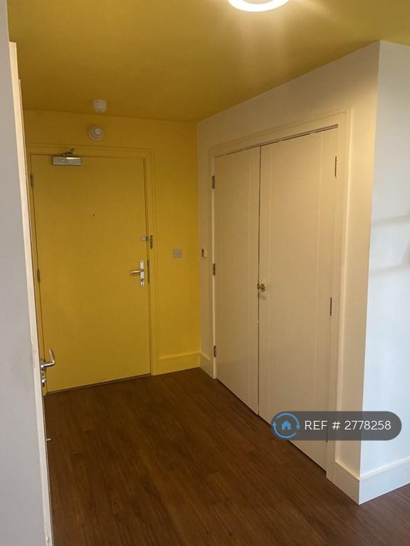 Flat Entrance & Laundry Closet
