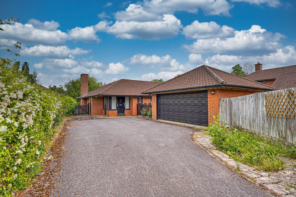 Driveway and Garage