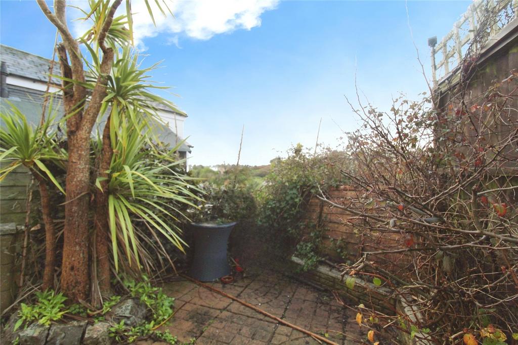 Back Garden