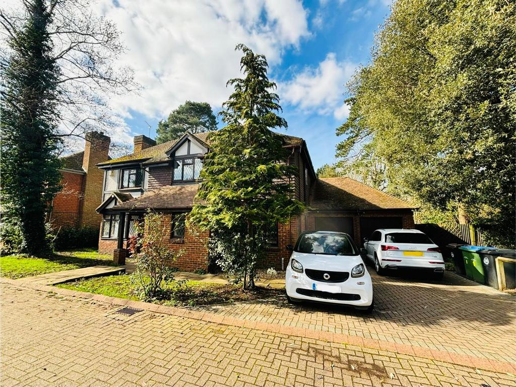 Front and driveway