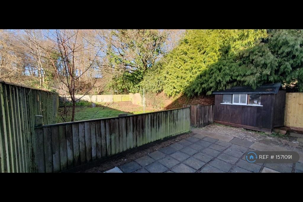 Back Garden 1