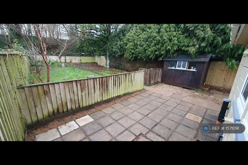 Back Garden 2