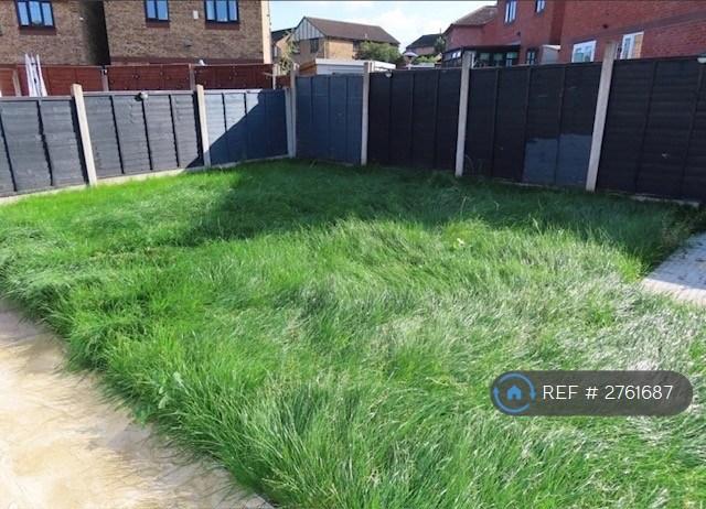 Back Garden
