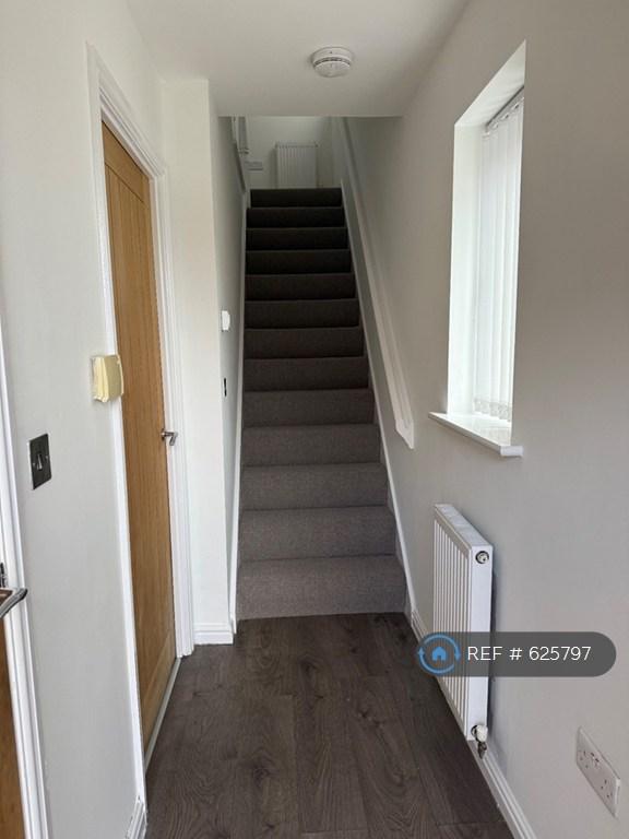 Hallway & New Carpet.