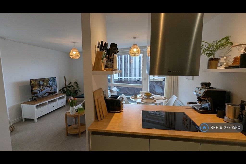 Kitchen / Living Room