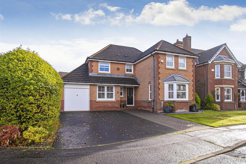 Property Image 54