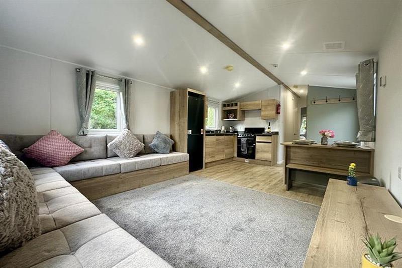 007819 0 20260201 01.jpeg