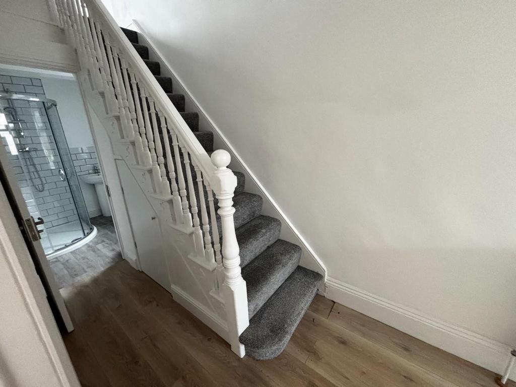 IMG 4636.jpeg