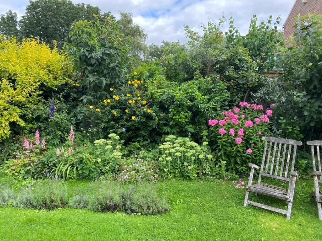 External garden.jpg