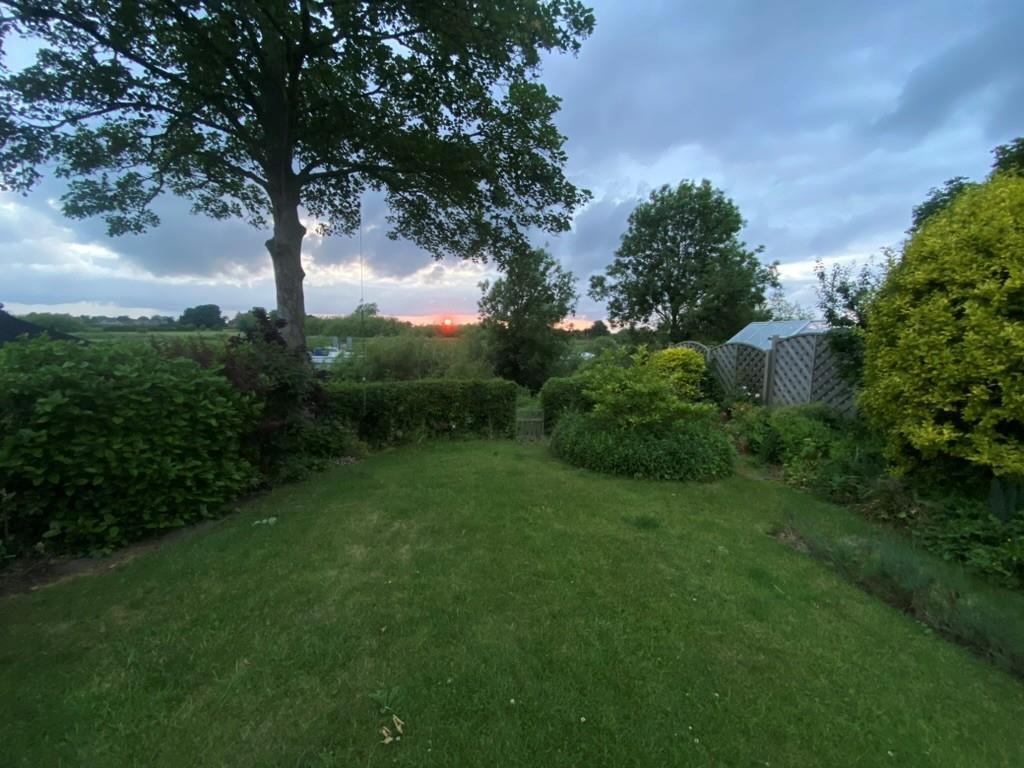 Garden 5.jpg