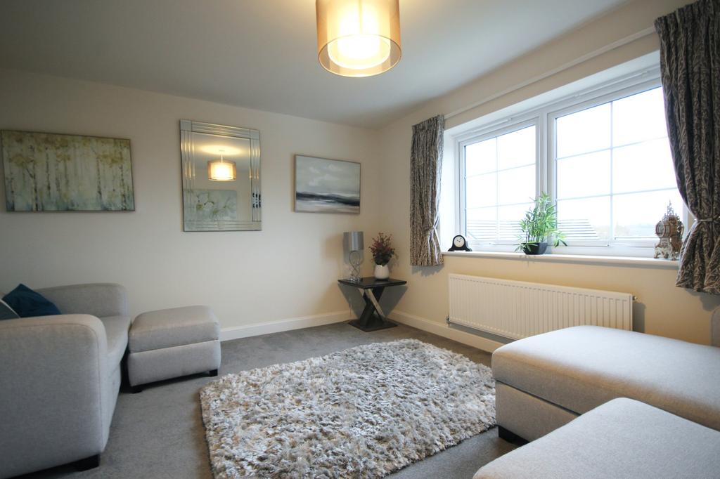 Lounge/Bedroom 4