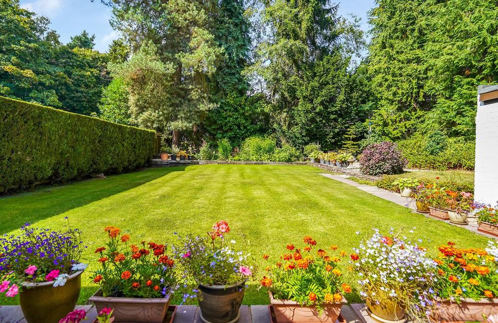 Rear Garden Summer