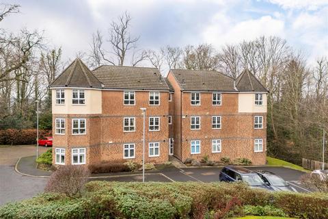 undefined, Hackwood Glade, Hexham NE46