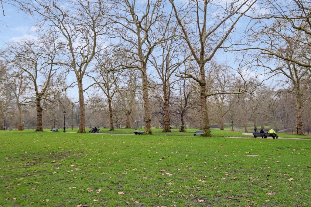 Park