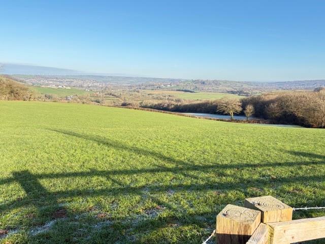 The land